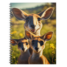 The Quirky Kangaroo Clan