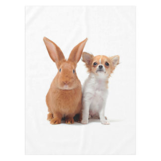 The Rabbit And The Pomeranian Look Very Innocent Tablecloth
