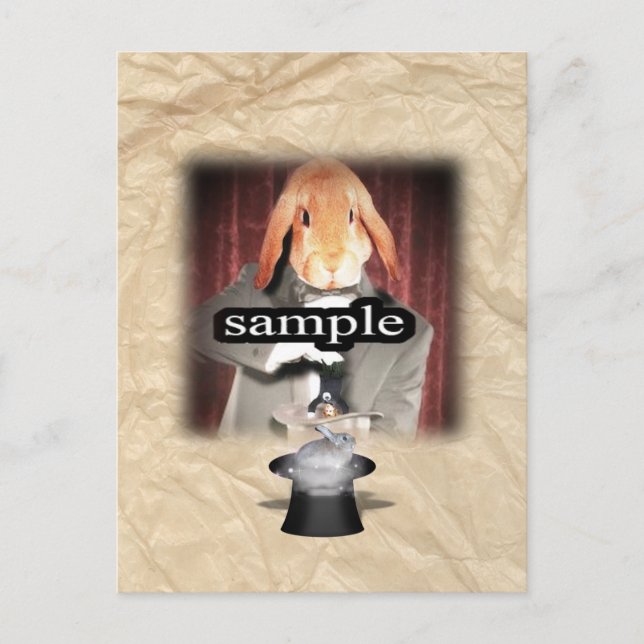 The Rabbit & the Magic Hat Photo Frame Postcard (Front)