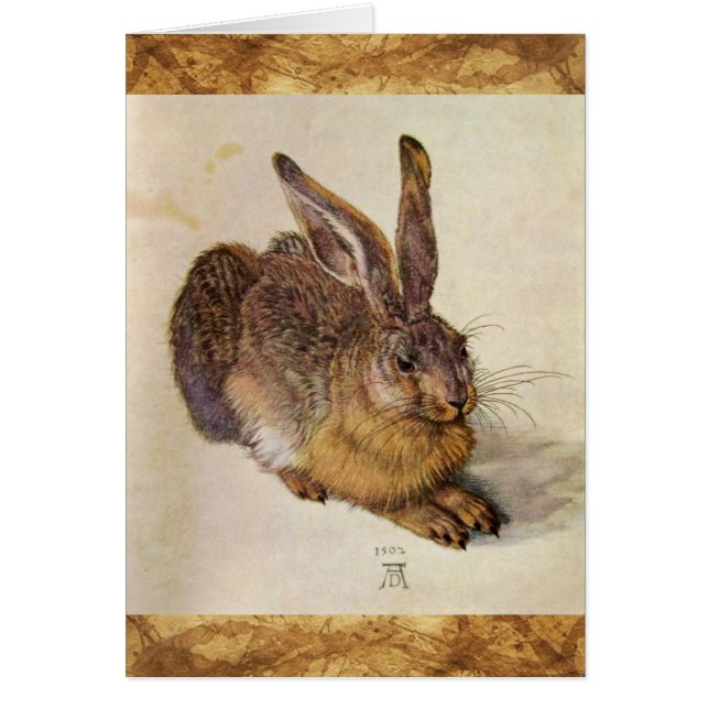THE RABBIT ( Young Hare ) (Front)