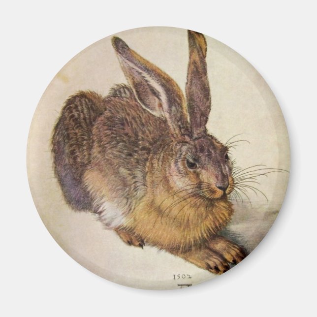 THE RABBIT ( Young Hare ) Magnet (Front)