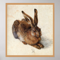 THE RABBIT ( Young Hare )