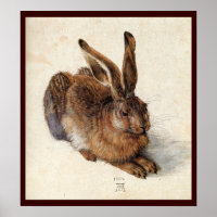THE RABBIT ( Young Hare )