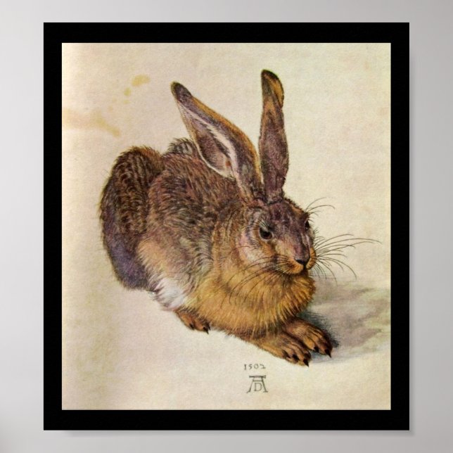 THE RABBIT ( Young Hare ) Poster (Front)