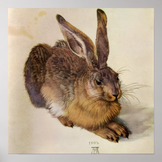 THE RABBIT ( Young Hare ) Poster (Front)