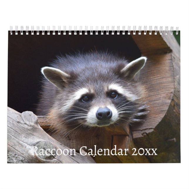 The Racoon Forest Animal Calendar (Cover)