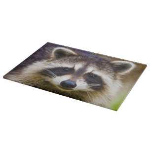 The racoon, Procyon lotor Cutting Board