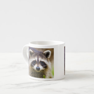 The racoon, Procyon lotor Espresso Cup