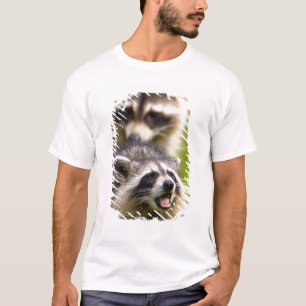 The racoon, Procyon lotor, is a widespread, T-Shirt
