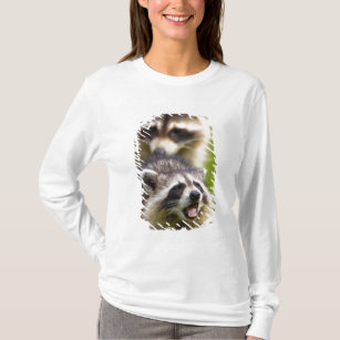 The racoon, Procyon lotor, is a widespread, T-Shirt