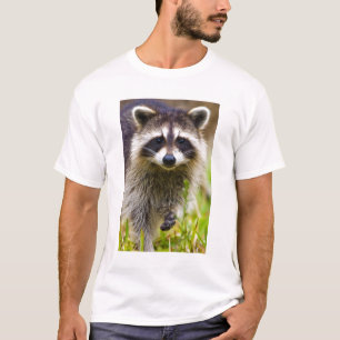 The racoon, Procyon lotor T-Shirt