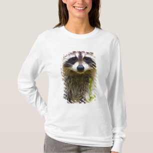 The racoon, Procyon lotor T-Shirt