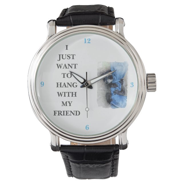 The racoon  watch (Front)