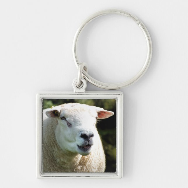 THE RAM KEY RING (Front)