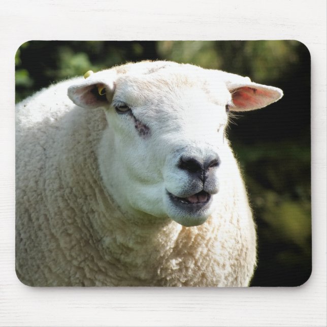 THE RAM MOUSE PAD (Front)