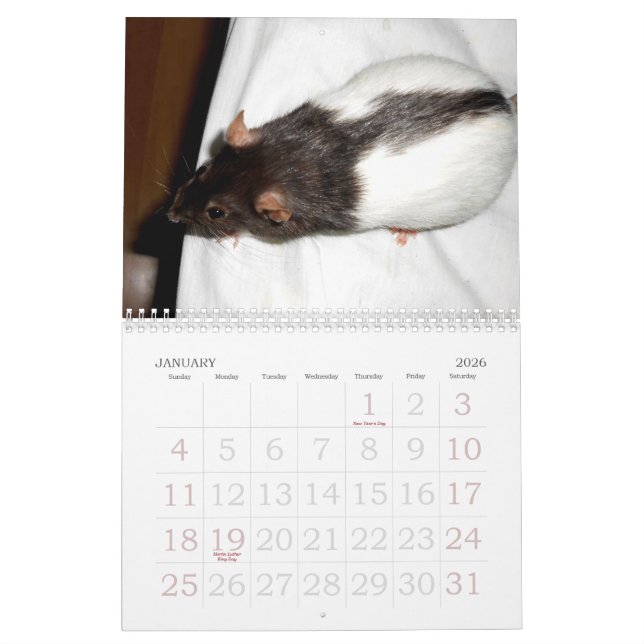 The Rat Lover's 2015 Calendar (Jan 2026)