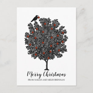 The Raven Bird Decorates The Christmas Tree Holiday Postcard
