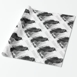 The Raven by Edgar Allen Poe Wrapping Paper