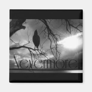 The Raven - Nevermore Sunbeams & Tree B&W Magnet
