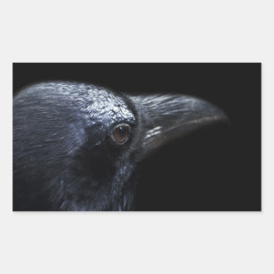 The Raven Rectangular Sticker