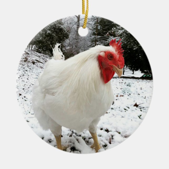 The Real Boo the Roo Christmas ornament (Front)