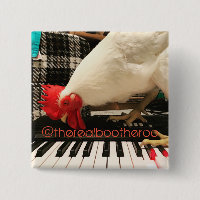 The Real Boo the Roo on Keyboard