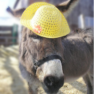 "The Real Easter Bunny" Holiday Card