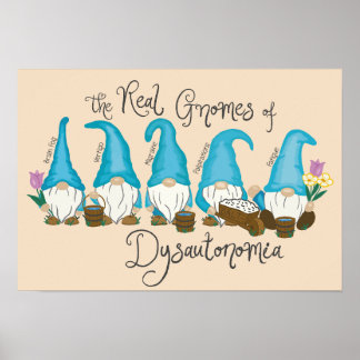 The Real Gnomes of Dysautonomia poster