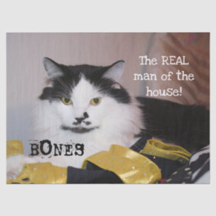 The Real man of the house-Cat- Tissue Paper