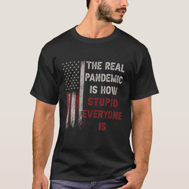 The Real Pandemic Is How Stupid Everyone Is 1776 V T-Shirt (Front)