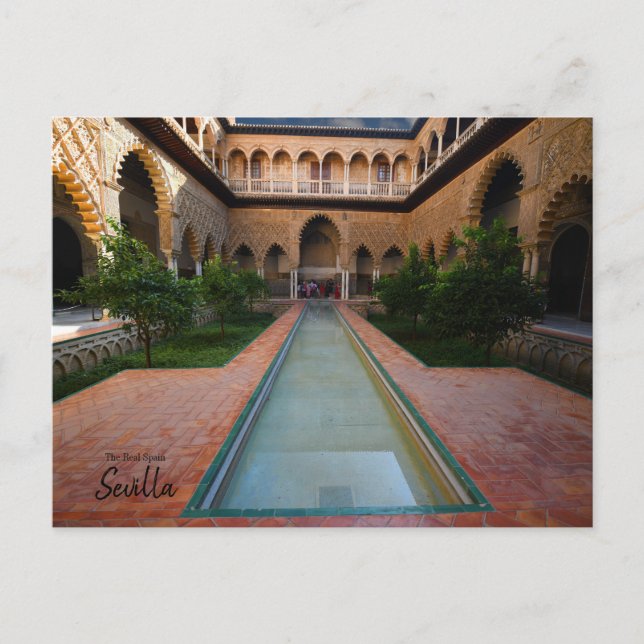 The Real Spain- Sevilla Postcard (Front)