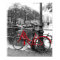 The Red Bike 1