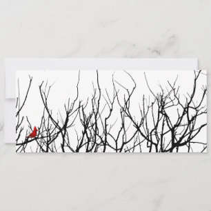 The Red Bird by Leslie Peppers