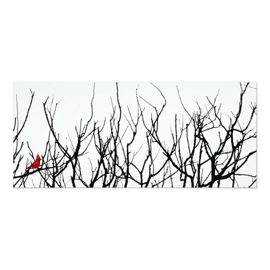 The Red Bird by Leslie Peppers Card