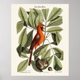 The Red Bird - Seligmann Poster