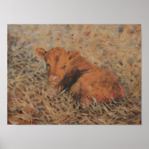 The Red Calf Fine Art Print