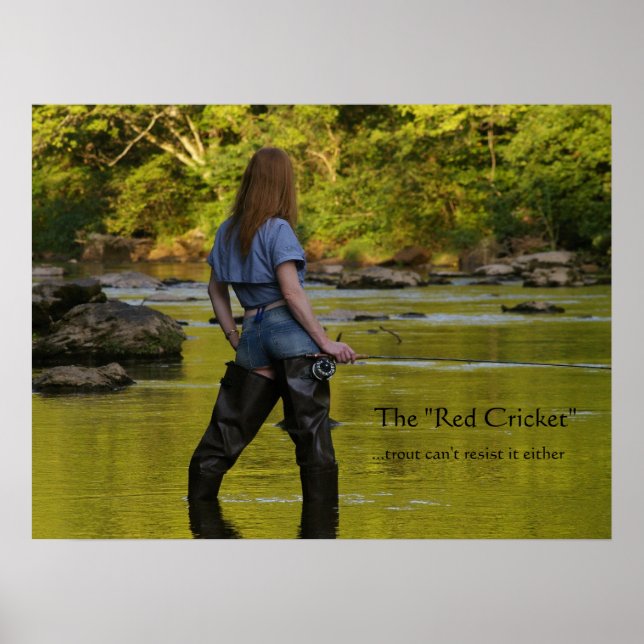 The "Red Cricket"-trout can't res... Poster (Front)