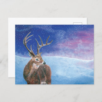 The red deer (Cervus elaphus) in Winter Holiday Postcard