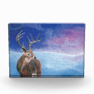 The red deer (Cervus elaphus) in Winter Photo Block