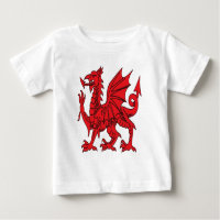 The Red Dragon Strength Pride and Unity