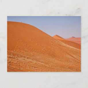 The red dunes of Sossusvlei Postcard
