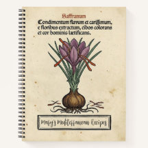 The Red Gold Crocus: Mediaeval Saffron Recipe