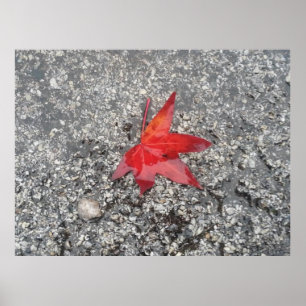 The red leaf office zoom background'- poster