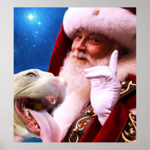 the Red Nosed Pitbull Dog & Santa Claus Poster
