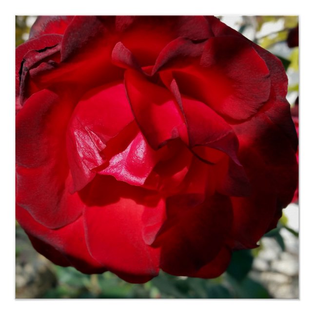 The red of autumn poster (Front)