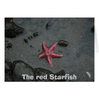 The red Starfish