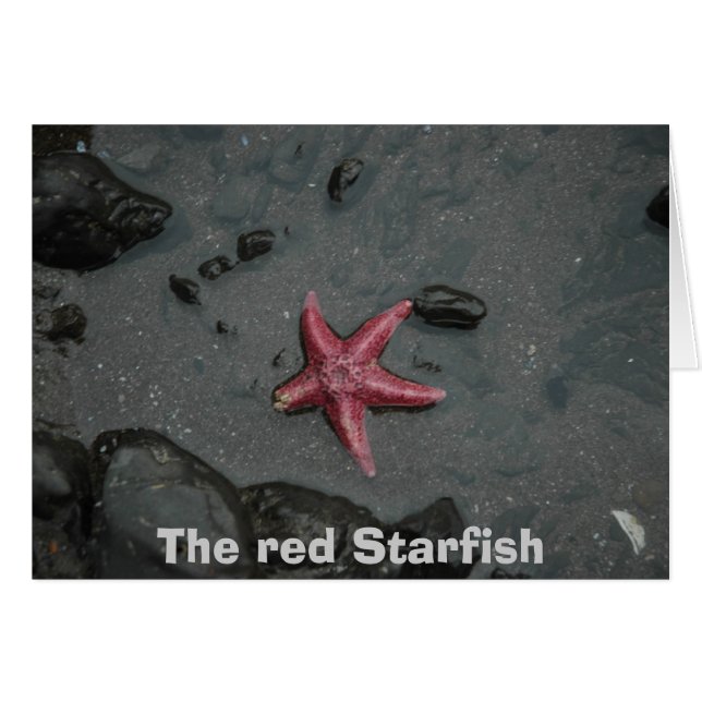 The red Starfish (Front Horizontal)