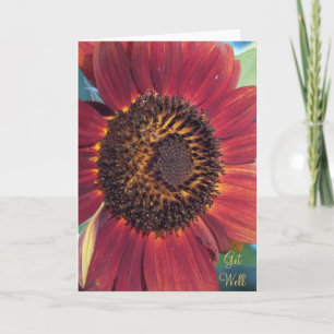 The Red Sunflower Get Well Card