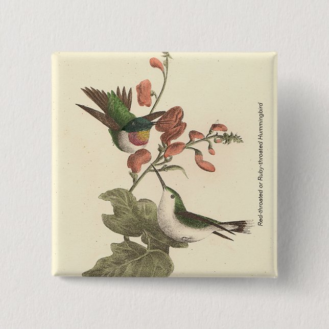 The Red-throated or Ruby-throated Hummingbird 15 Cm Square Badge (Front)