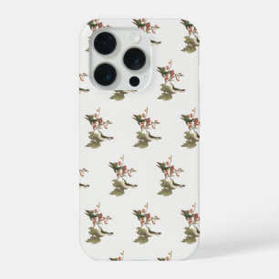 The Red-throated or Ruby-throated Hummingbird iPhone 15 Pro Case
